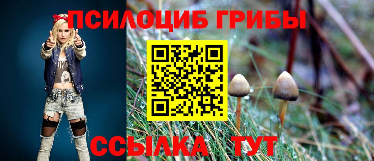 Галлюциногенные грибы Psilocybe  Вход с VPN  Елизово 